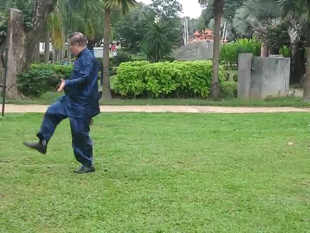 Shaolin 36 Leg Techniques